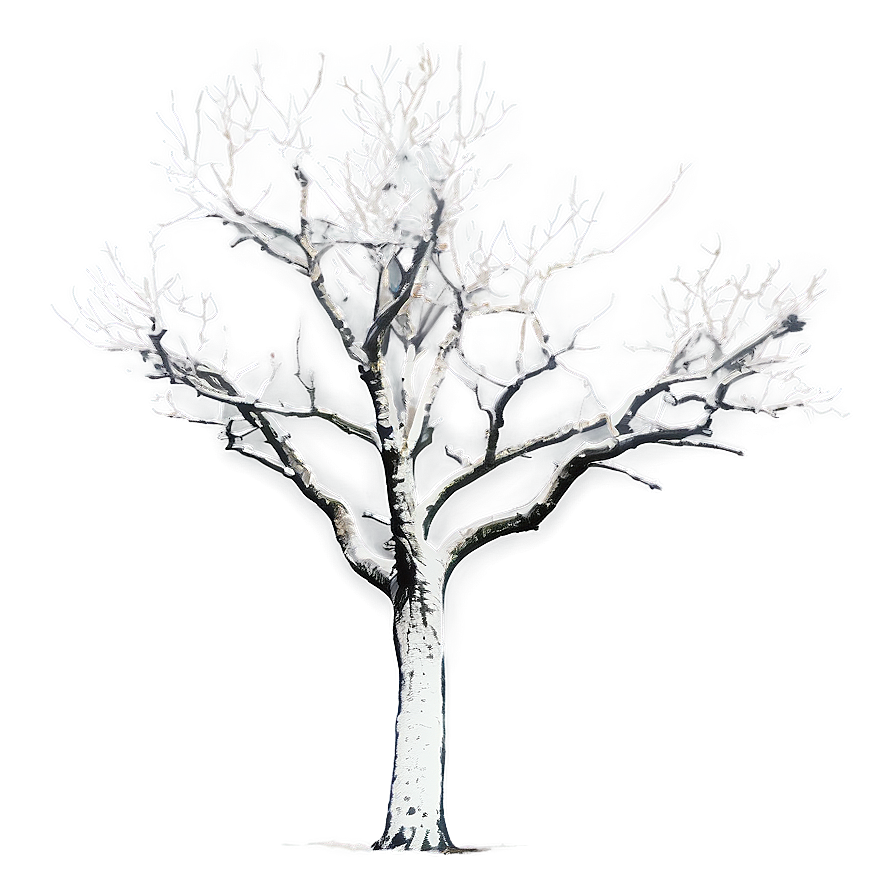 Lonely Bare Tree Png 54