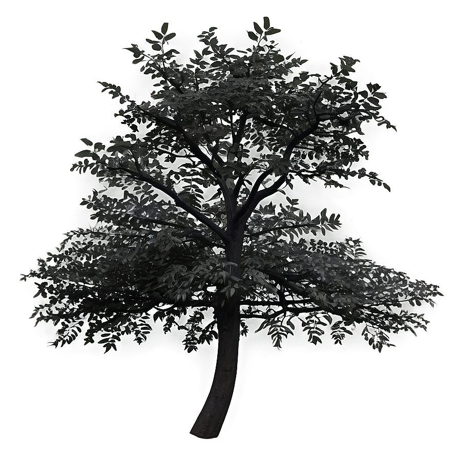 Lonely Black Tree Png 14