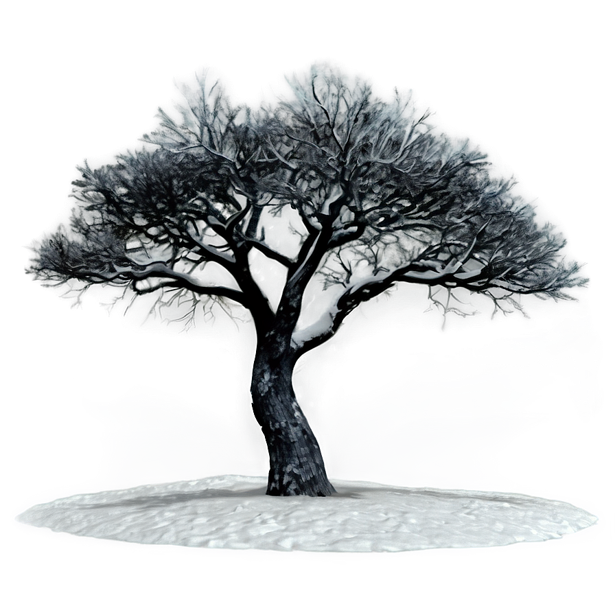 Lonely Black Tree Png Pbc