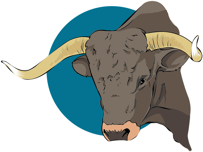 Long Horned Bull Illustration.png