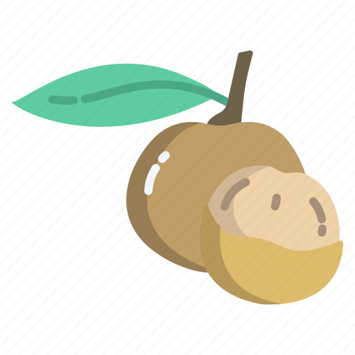 Longan Fruit Illustration