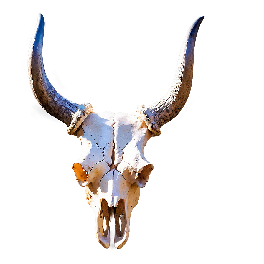 Longhorn Cow Skull Design Png Itt