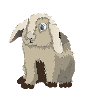 Lop Eared Rabbit Illustration