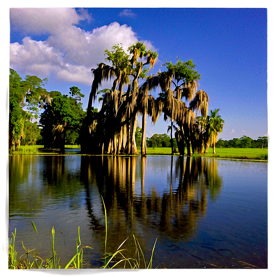 Louisiana Bayou Landscape Png Gmd13