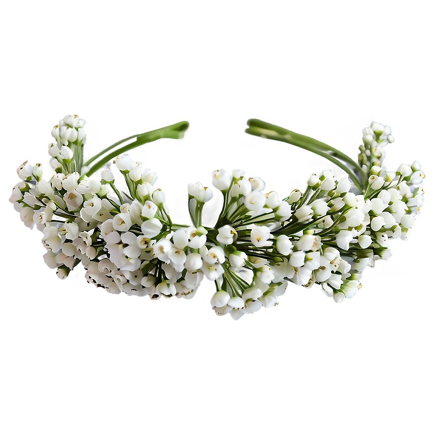 Lovely Baby's Breath Crown Png 06212024