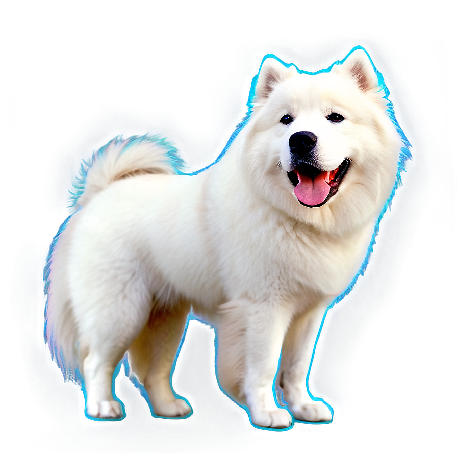 Loyal Samoyed Companion Png Dqu97