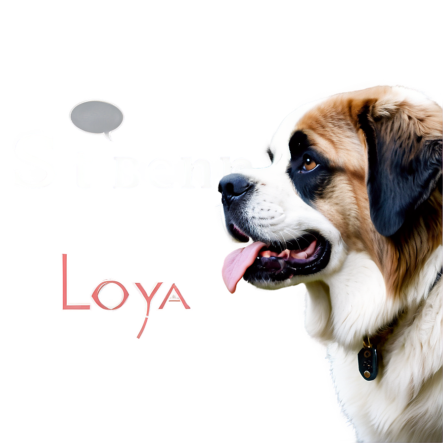 Loyal St Bernard Companion Png 75