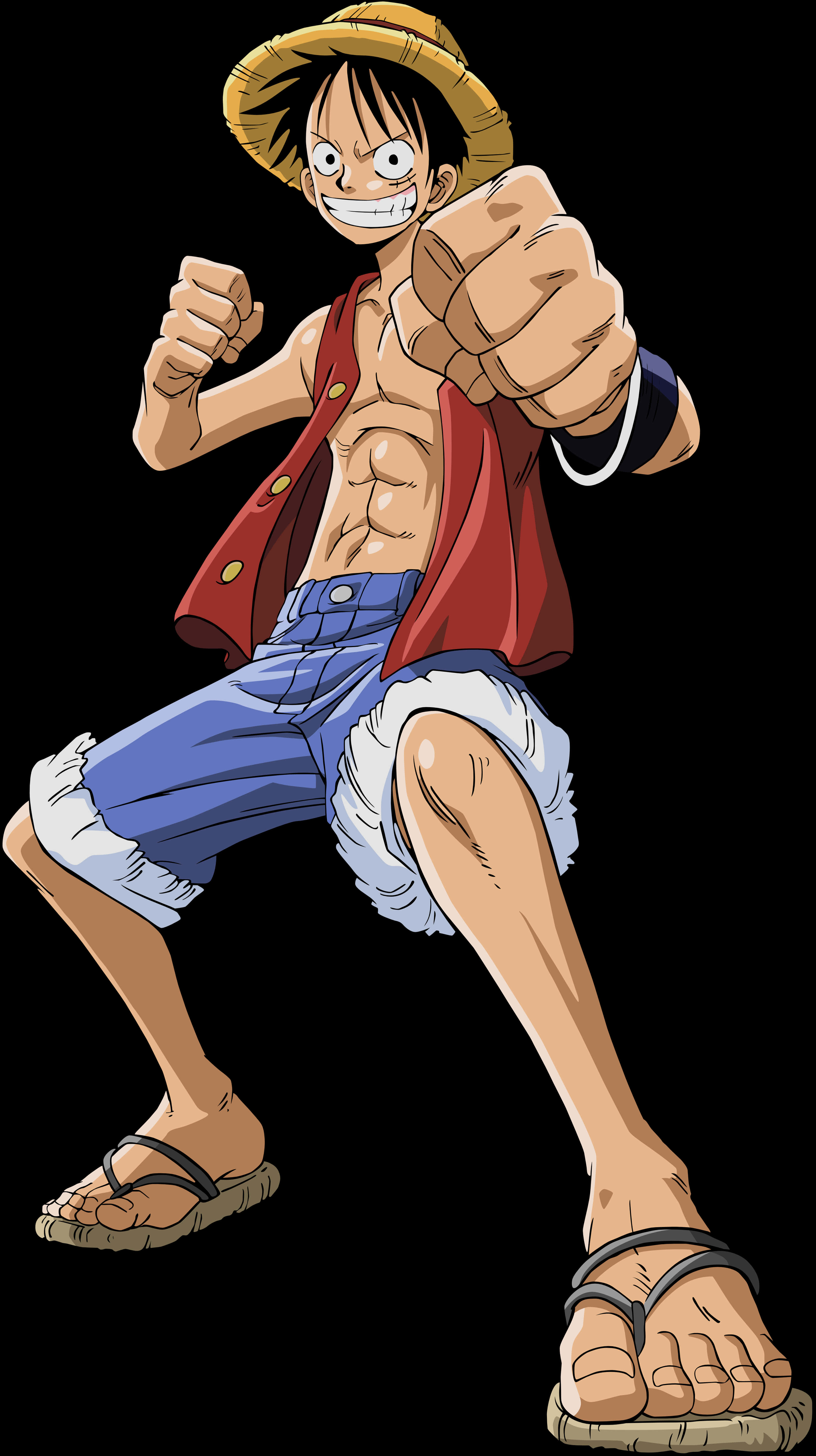 Luffy Readyfor Action One Piece