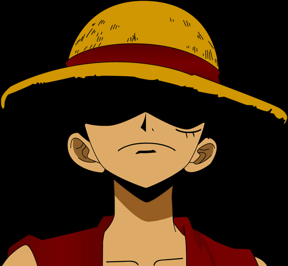 Luffy_ Straw_ Hat_ Closeup