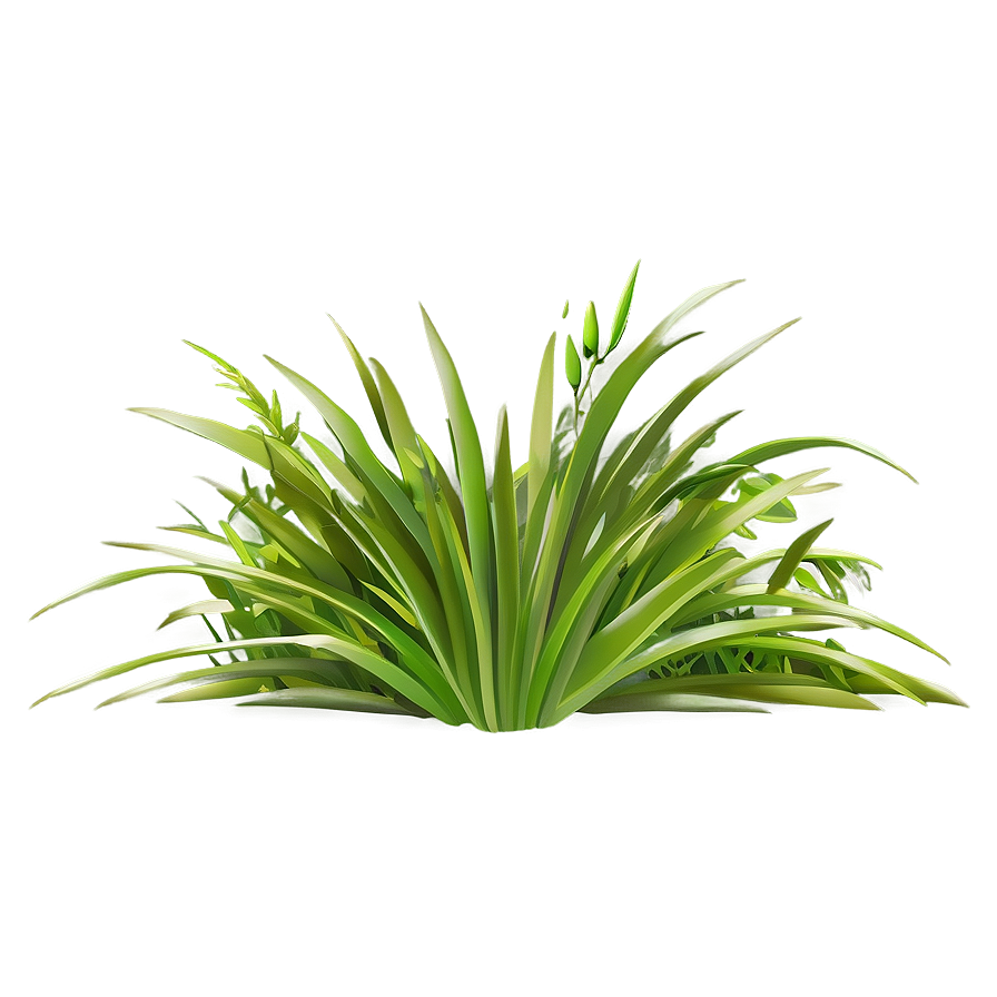 Lush Grass Clipart Png Srr71