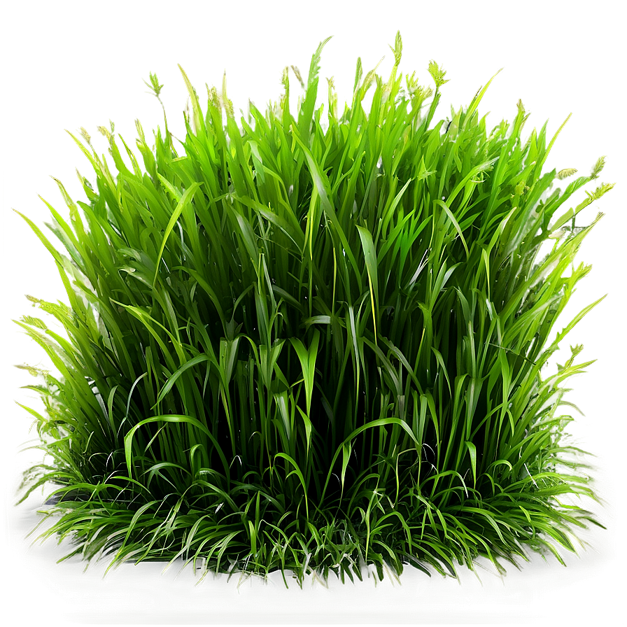 Lush Green Grass Texture Png Ekx53