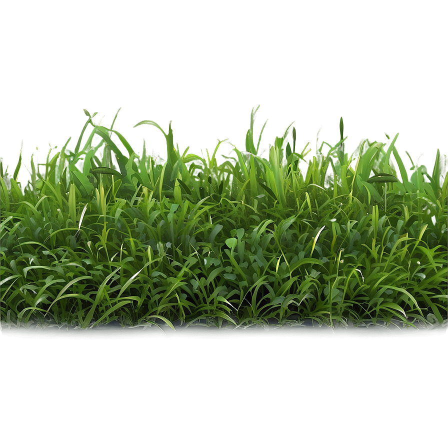 Lush Green Grass Texture Png Hay