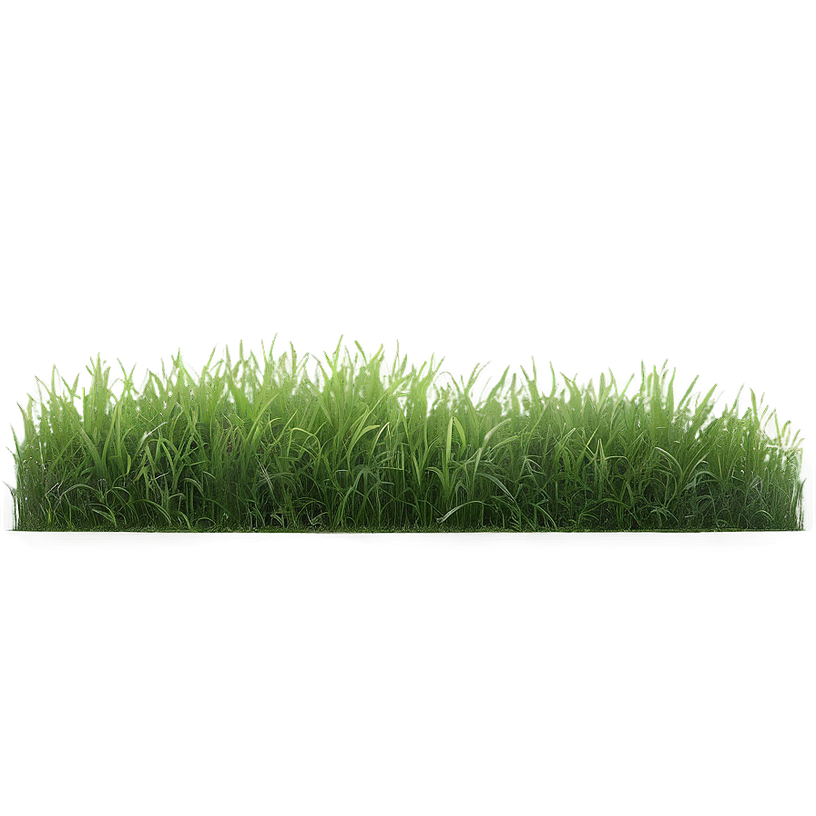 Lush Green Grass Texture Png Iux2