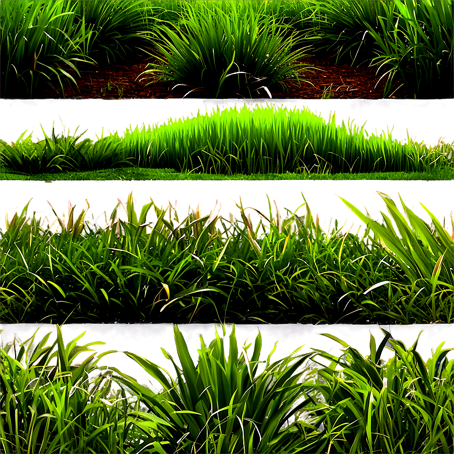 Lush Greenery Grass Png 06262024