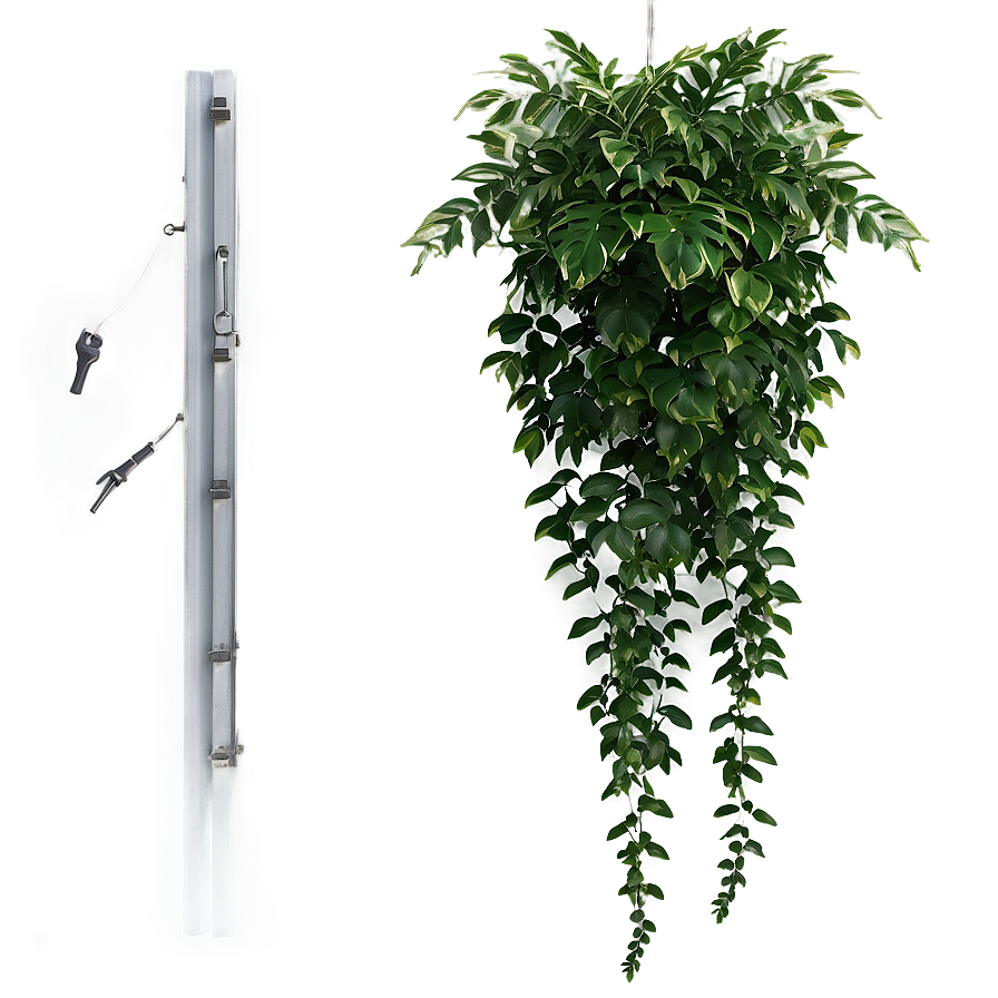 Lush Hanging Plant Png 71