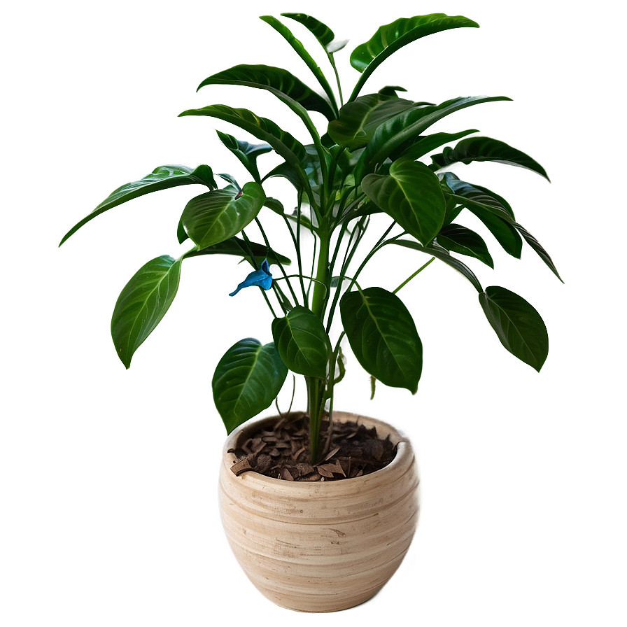 Lush Hanging Plant Png Vxc62