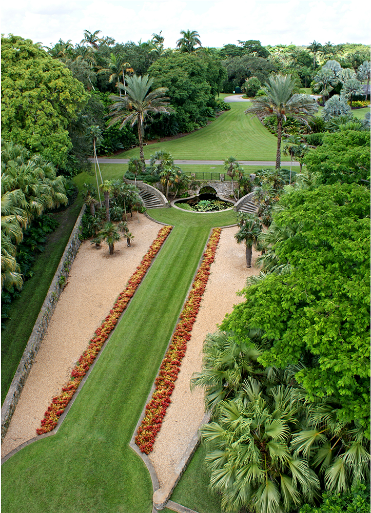 Lush_ Tropical_ Garden_ Pathway