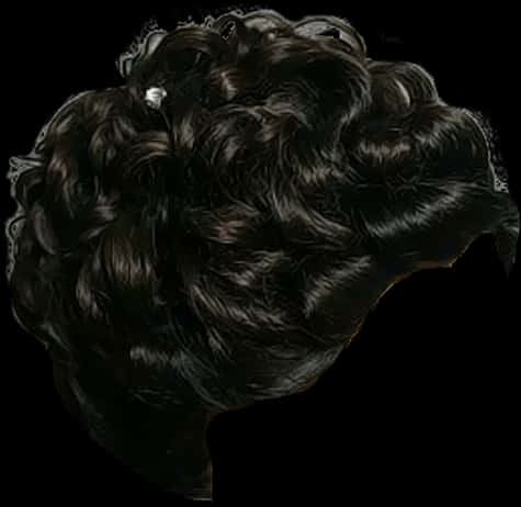 Luxurious Black Hair Texture