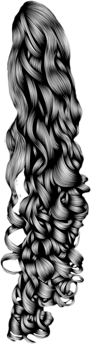 Luxurious Curly Hair Illustration