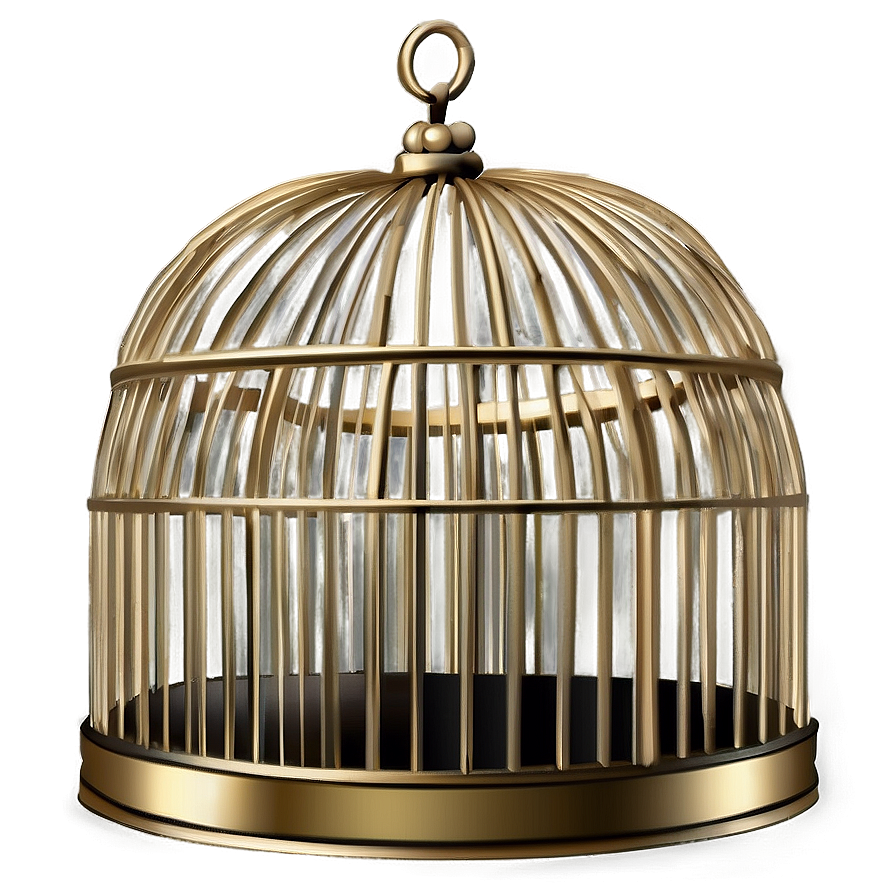 Luxurious Golden Cage Png 59