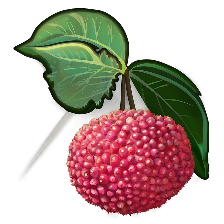 Lychee Fruit Icon Png Rwc