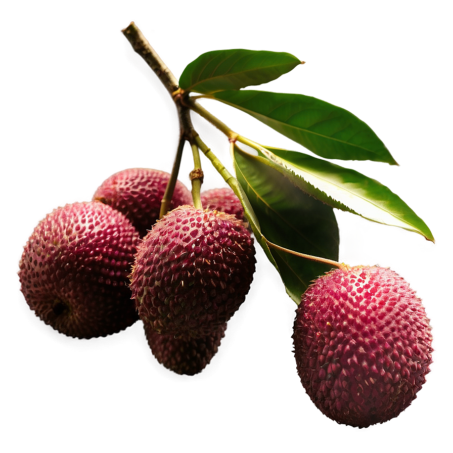 Lychee Fruit Silhouette Png Gak70