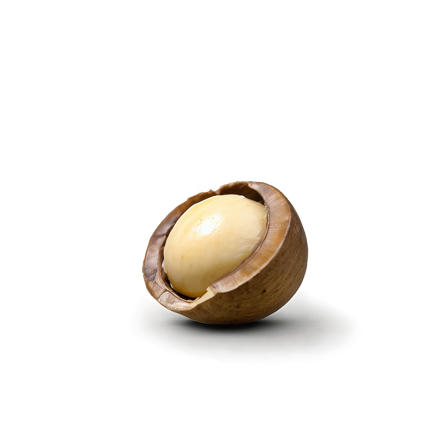 Macadamia Nut Png Bjl72