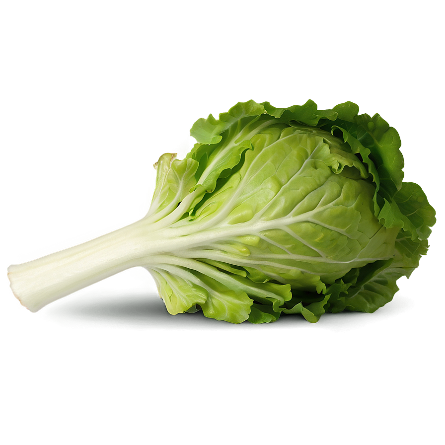 Mâche Lettuce Png Asy97