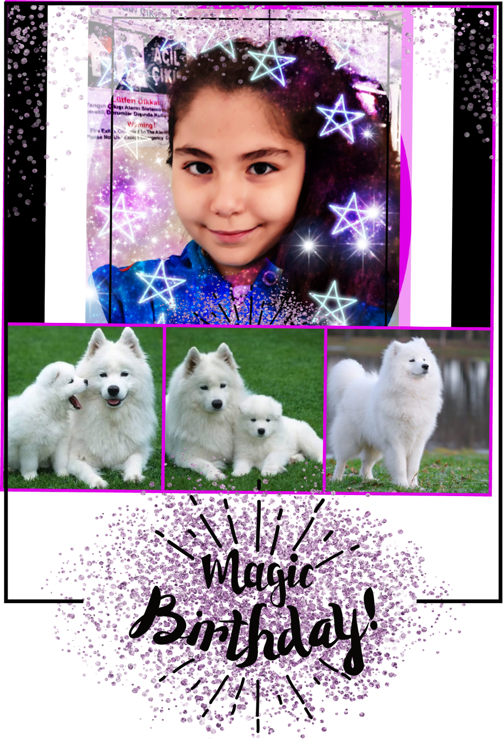 Magical Birthday Celebrationwith Samoyeds