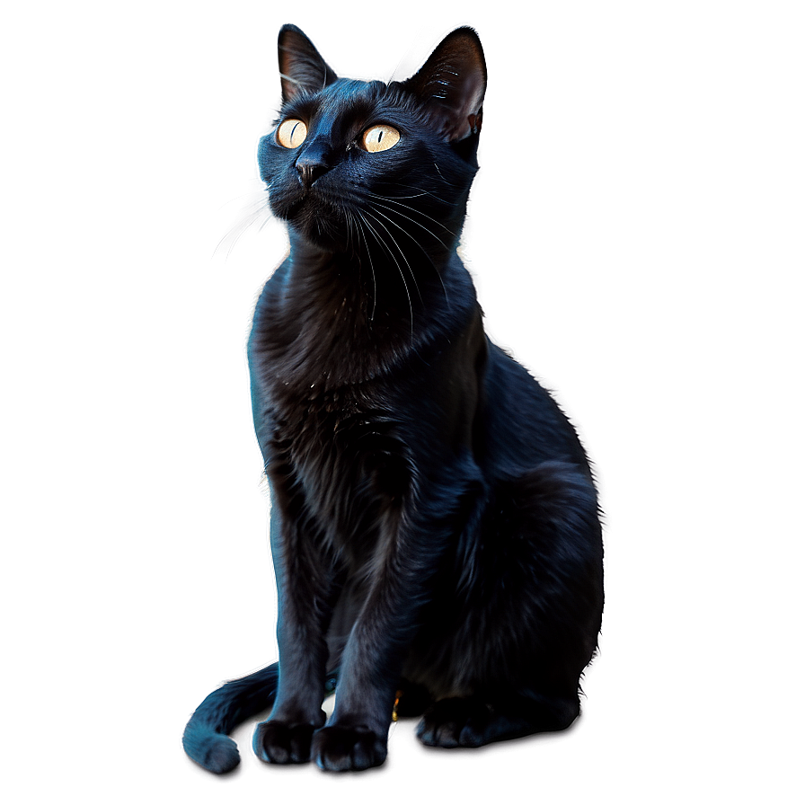 Magical Black Cat Png 05232024