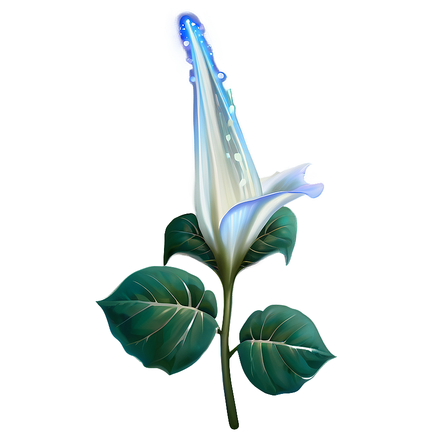 Magical Moonflower Png 73