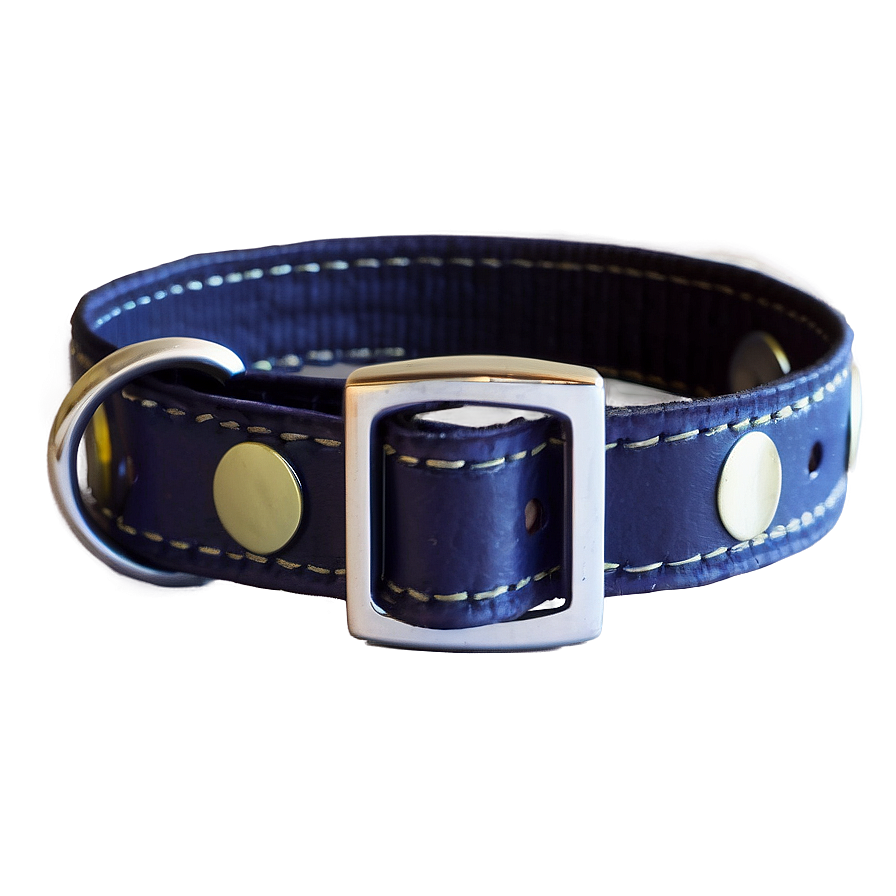 Magnetic Cat Collar Png 06292024