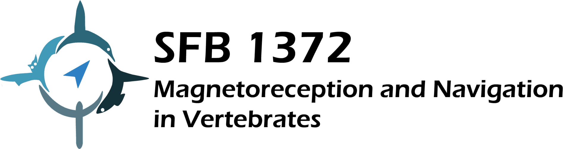 Magnetoreception Navigation Logo S F B1372