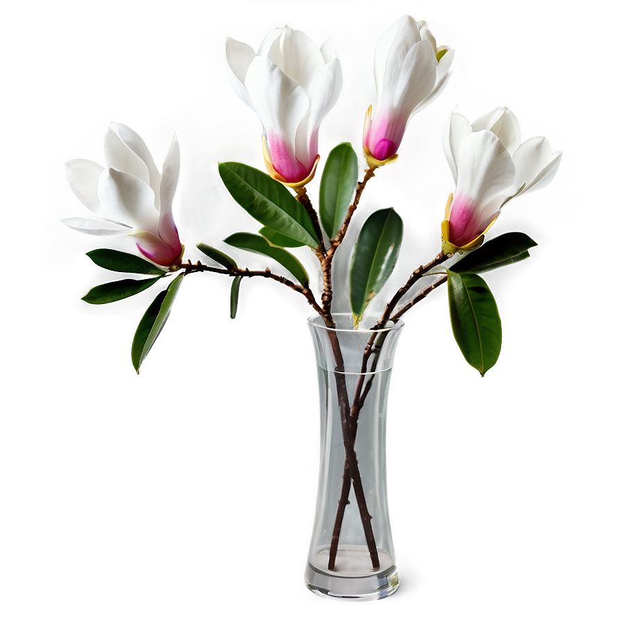 Magnolia In Vase Png Lui53