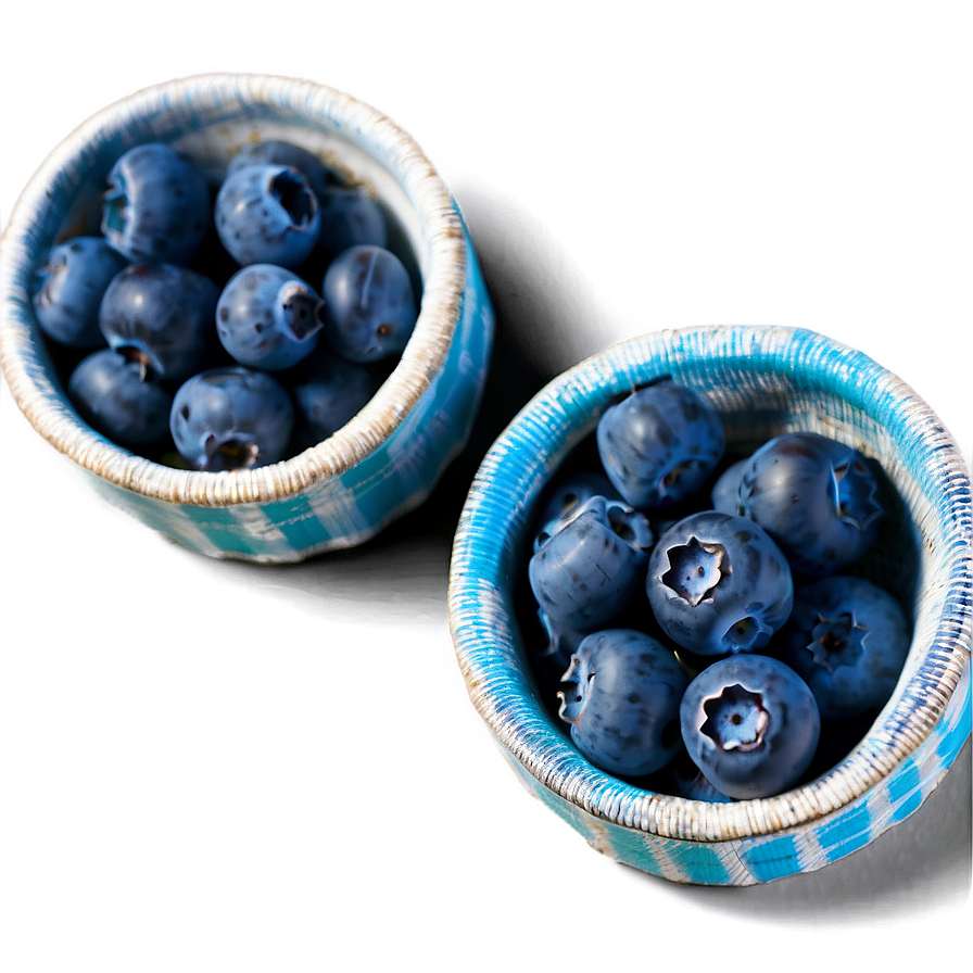 Maine Blueberry Harvest Png 97