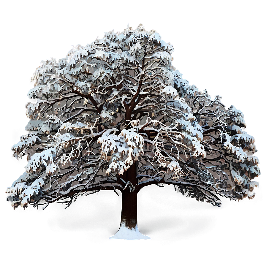 Majestic Big Tree In Snow Png Bji