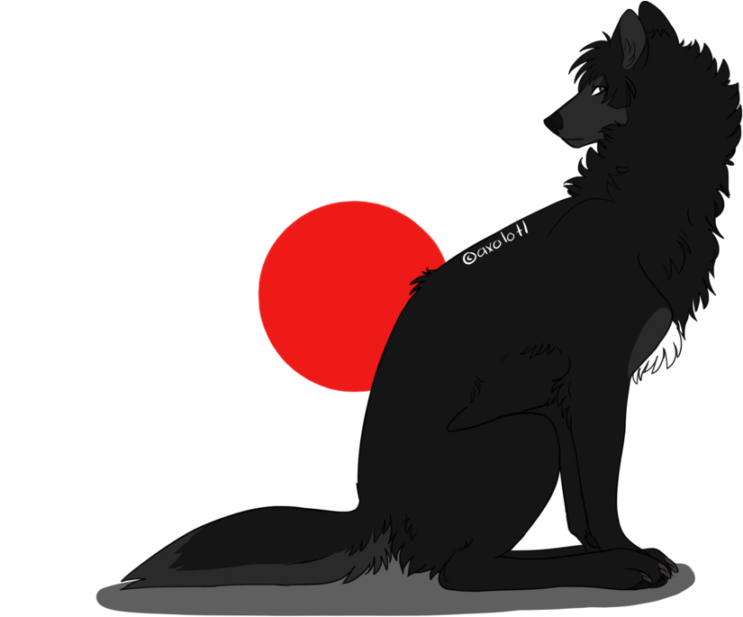 Majestic Black Wolf Silhouette Red Sun