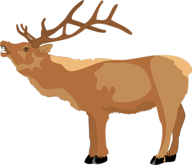 Majestic Brown Deer Illustration