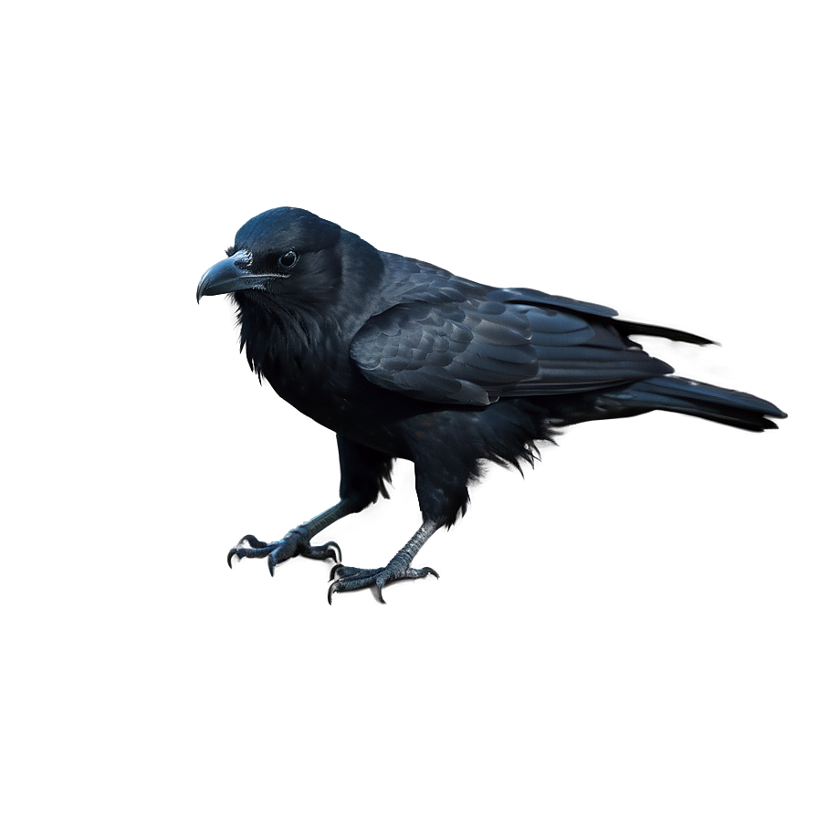 Majestic Crow Png Hfa