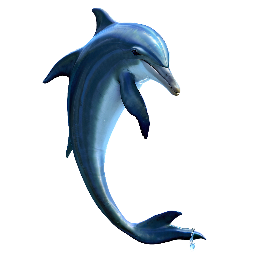 Majestic Dolphin Png Kmn18