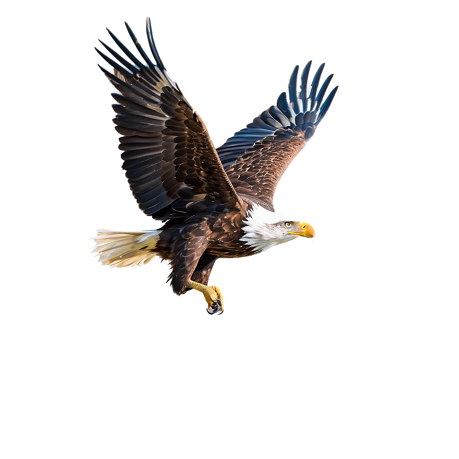 Majestic Eagle Flight Png Rdf40