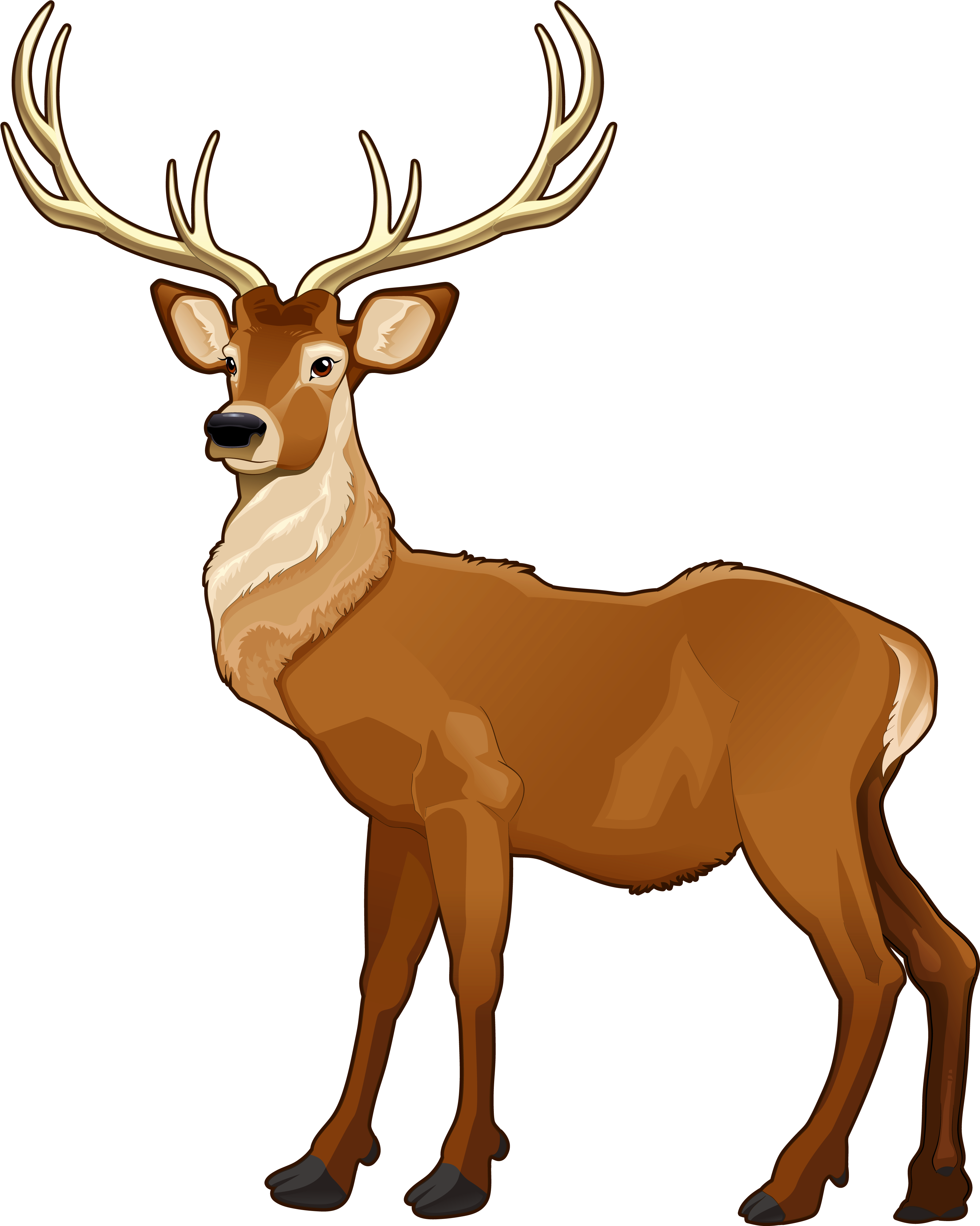 Majestic Elk Illustration