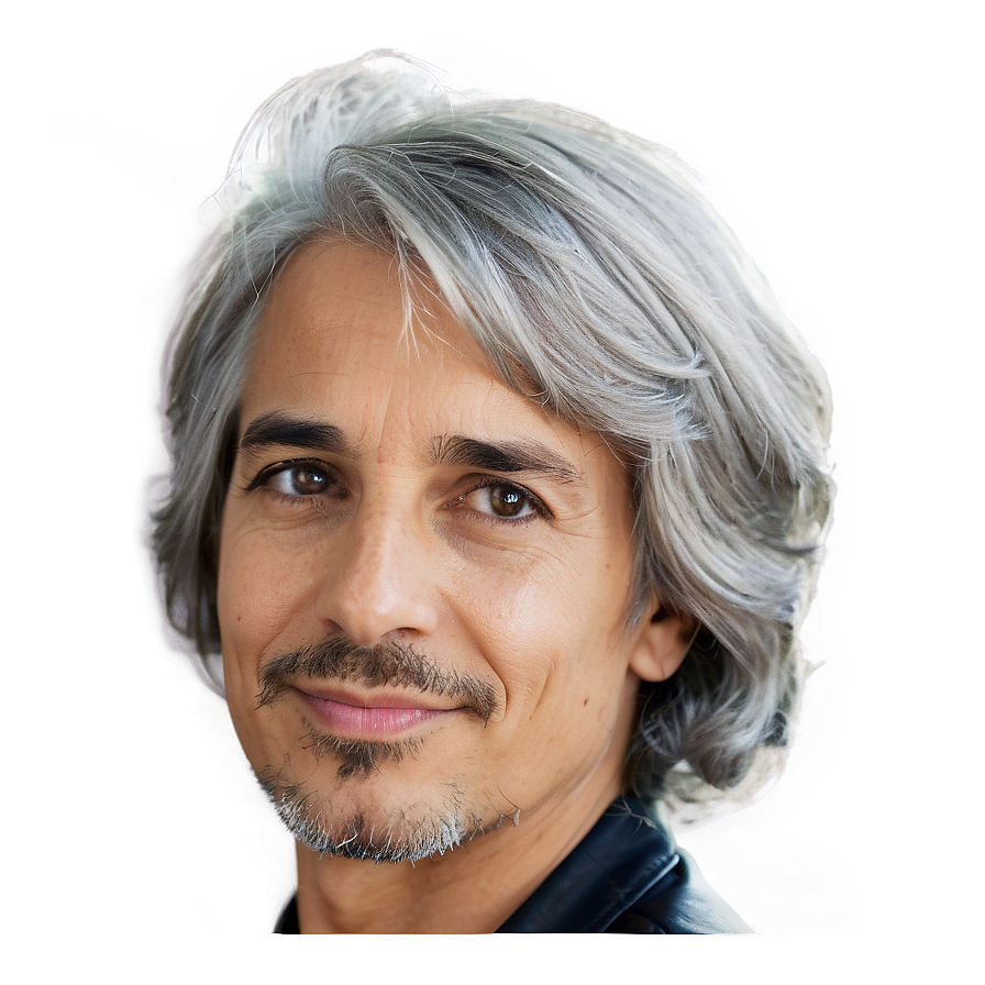 Majestic Grey Hair Png 06282024