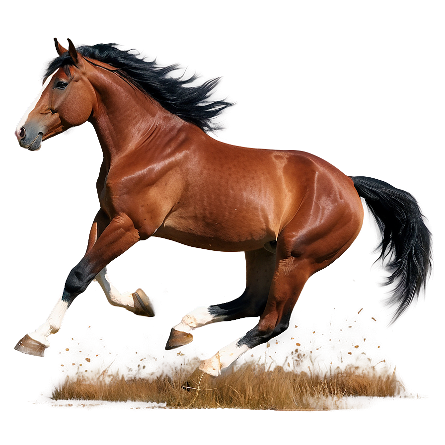 Majestic Horse Gallop Png Crq