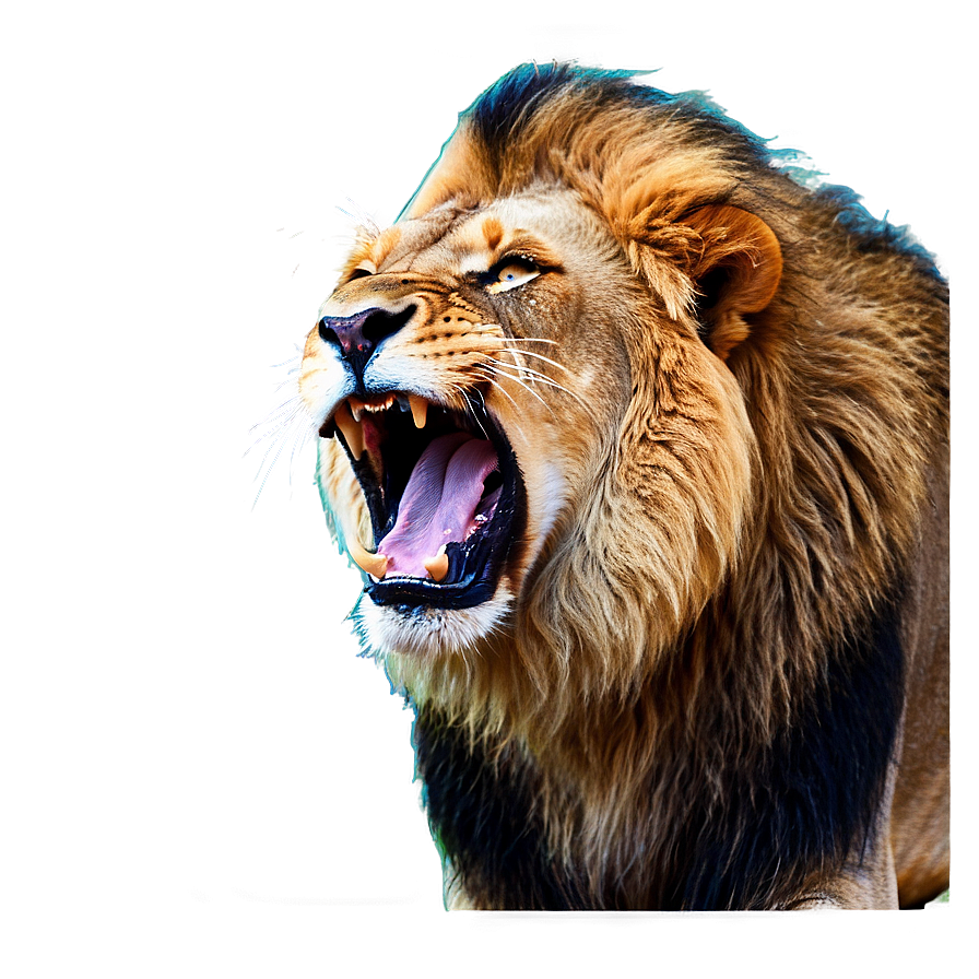 Majestic Lion Roaring Png 90