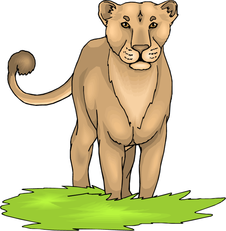 Majestic_ Lioness_ Illustration.png