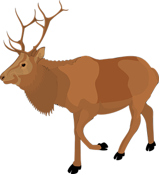 Majestic Moose Vector Illustration