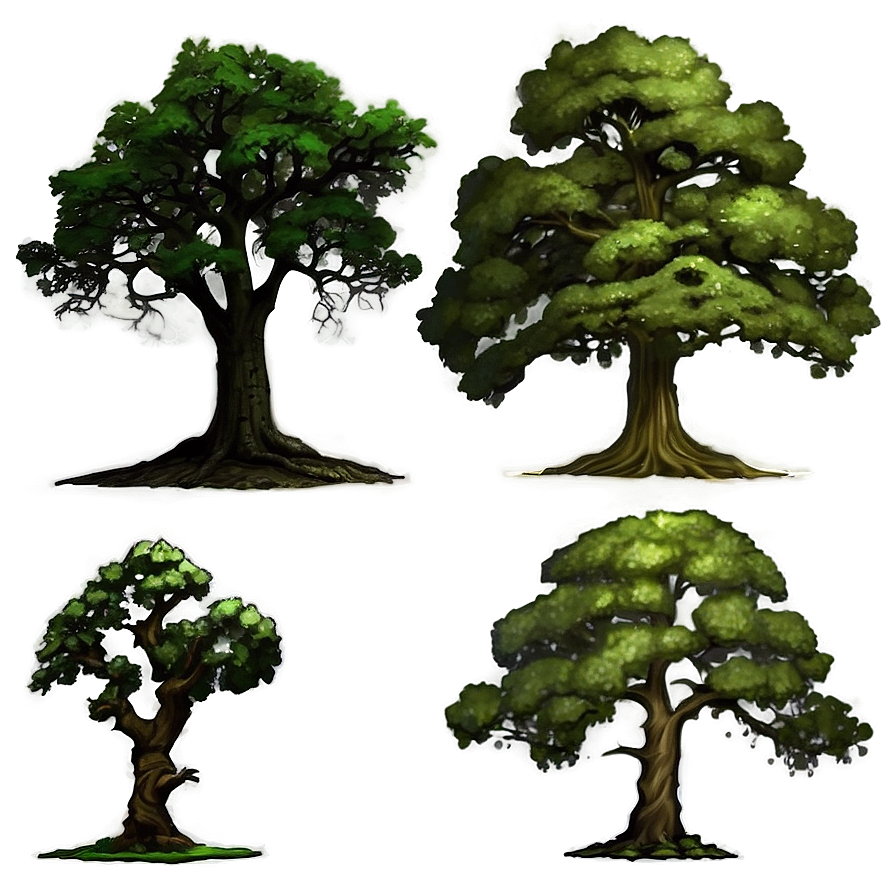 Majestic Oak Trees Png 20