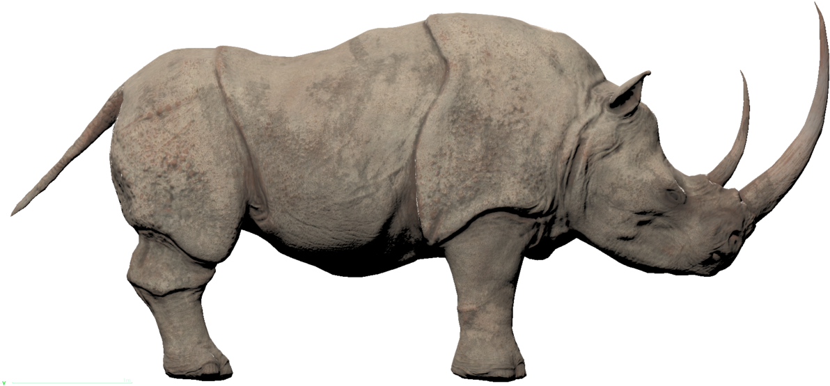 Majestic Rhino Profile