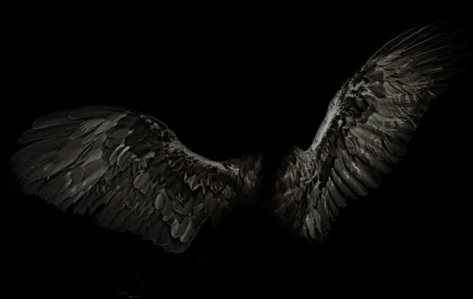 Majestic Spread Wings Dark Background